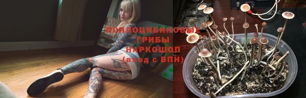 apvp Карталы