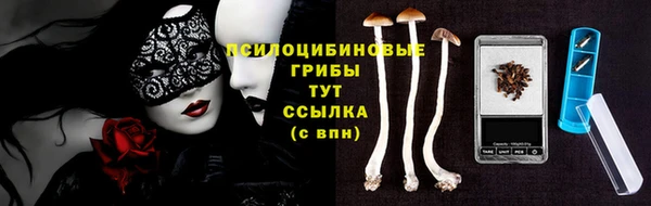 MDMA Карпинск