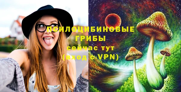 apvp Карталы